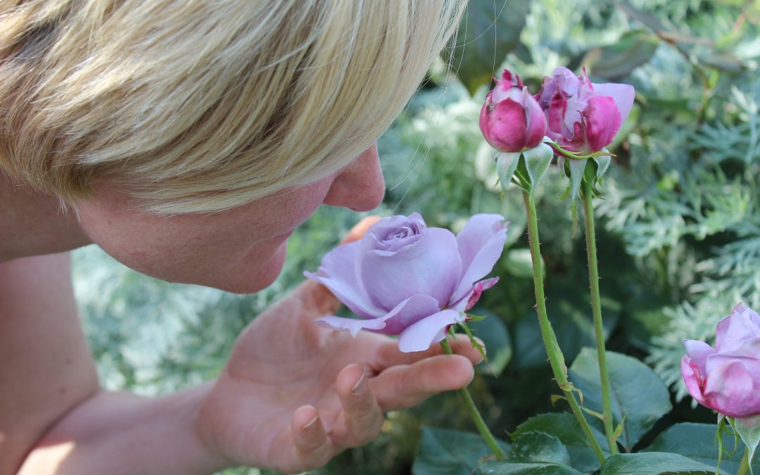 Slow down… and smell the roses!